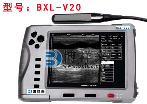 獸用B超機BXL-V20