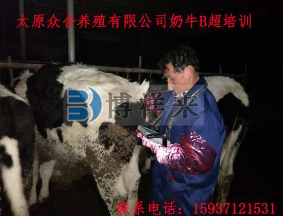 獸用B超機BXL-V20山西用戶(hù)