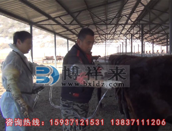 獸用B超機河北客戶(hù)培訓現場(chǎng)