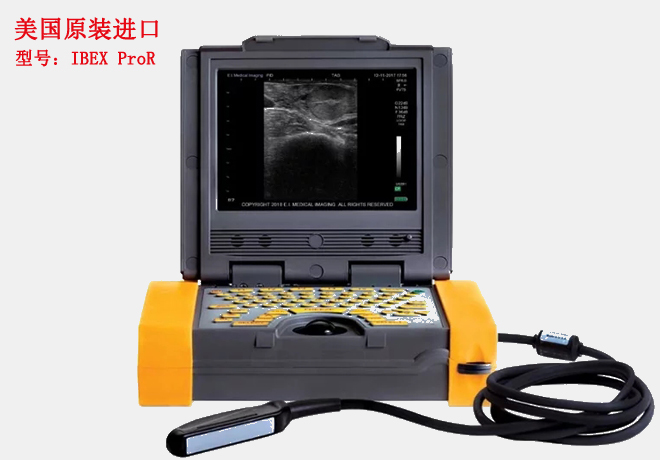 進(jìn)口獸用B超IBEX Pro/R主機示意圖